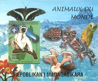 Madagascar Animals of World B Imperf