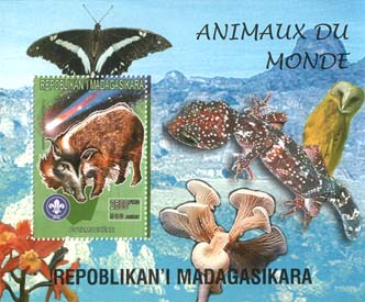 Madagascar Animals of World C