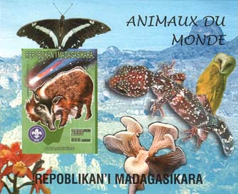 Madagascar Animals of World C Imperf