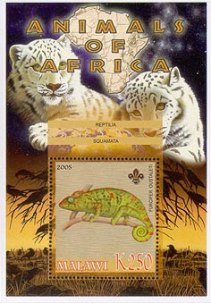 Malawi Animal I