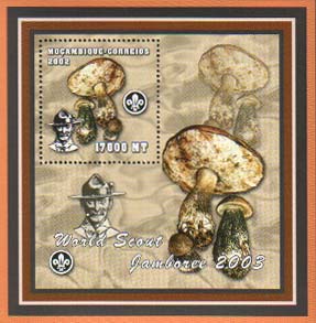 Mozambique Mushroom A