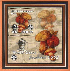 Mozambique Mushroom B