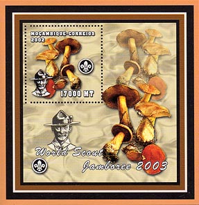 Mozambique Mushroom C
