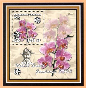 Mozambique Orchid 17000