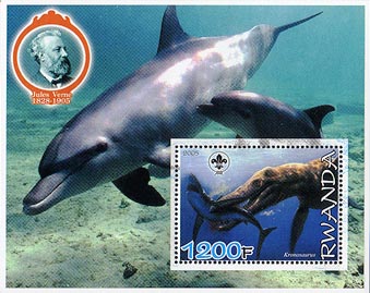 Rwanda Dolphin and J. Verne