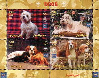 Somalia Dogs