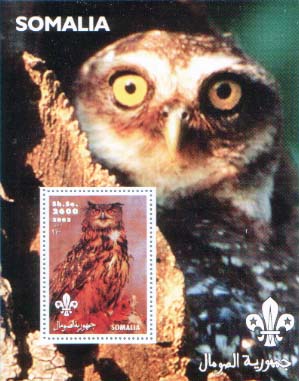 Somalia Owl 1