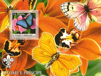 St. Thomas & Prince Butterfly D