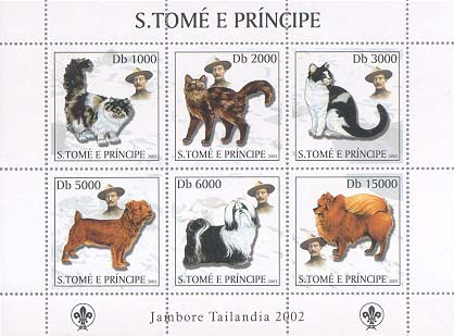 St. Thomas & Prince Catdog