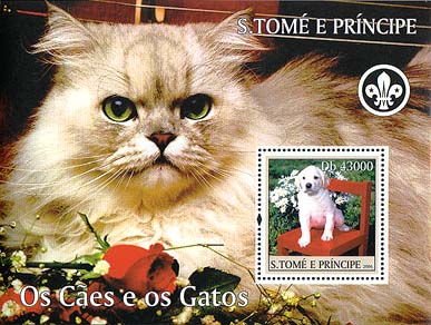 St. Thomas & Prince Dogcat