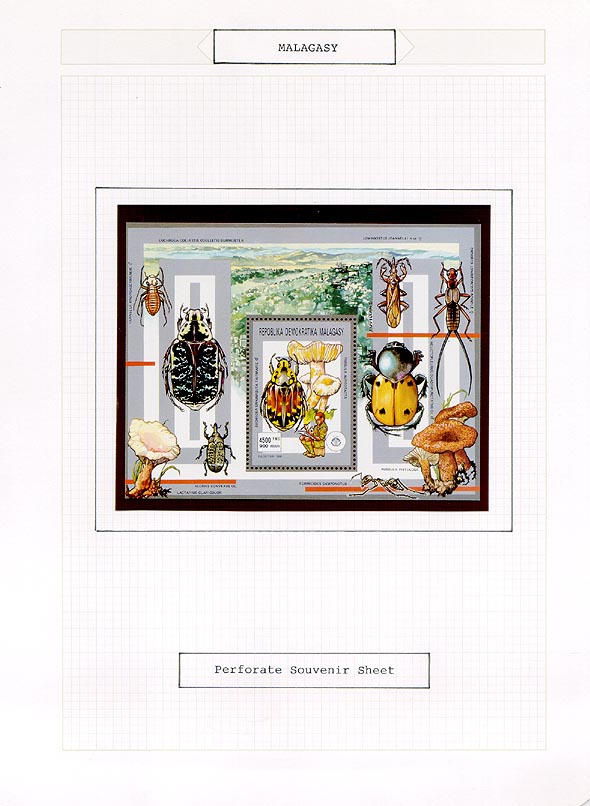 Kaplan Collection page 2899