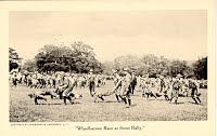 Wheelbarrow Race at Scout Rally