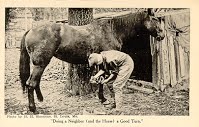 Doing a Neighbor (and the Horse) a Good Turn