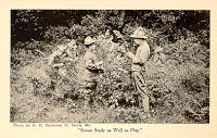 Scouts Study as Well as Play