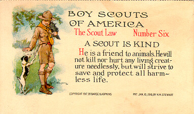 A Scout is Kind