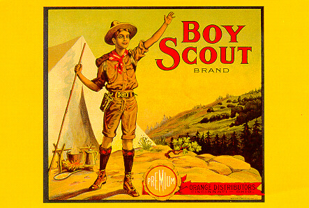 Boy Scout Orange Crate Label