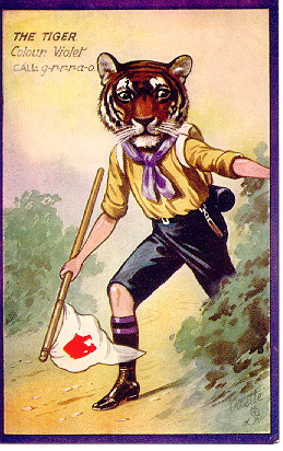 Tuck Tiger