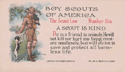 A Scout is Kind